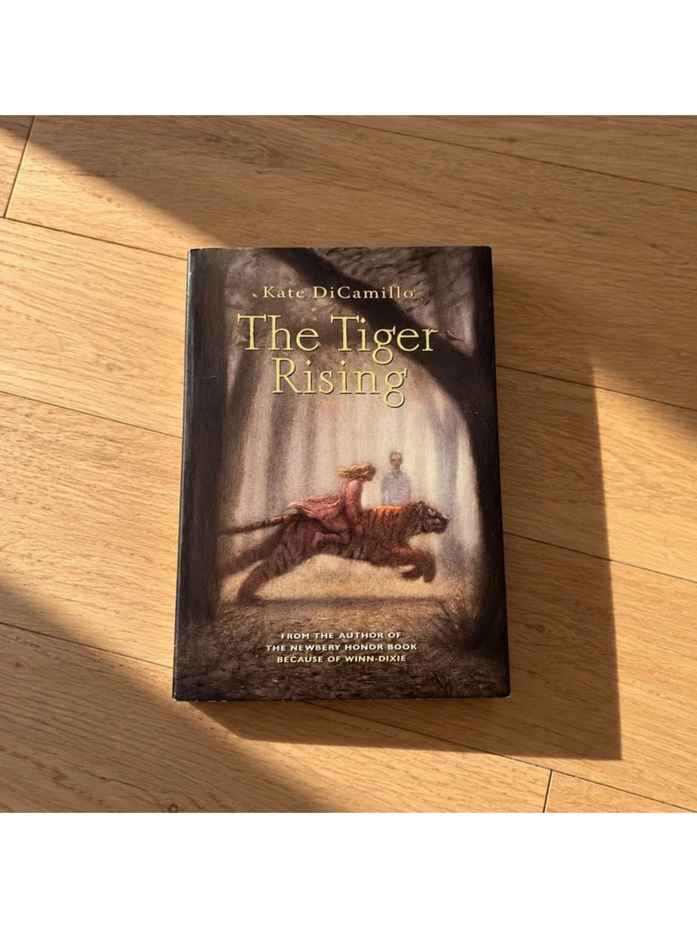 The Tiger Rising Kate DiCamillo Scholastic Paperback School Edition